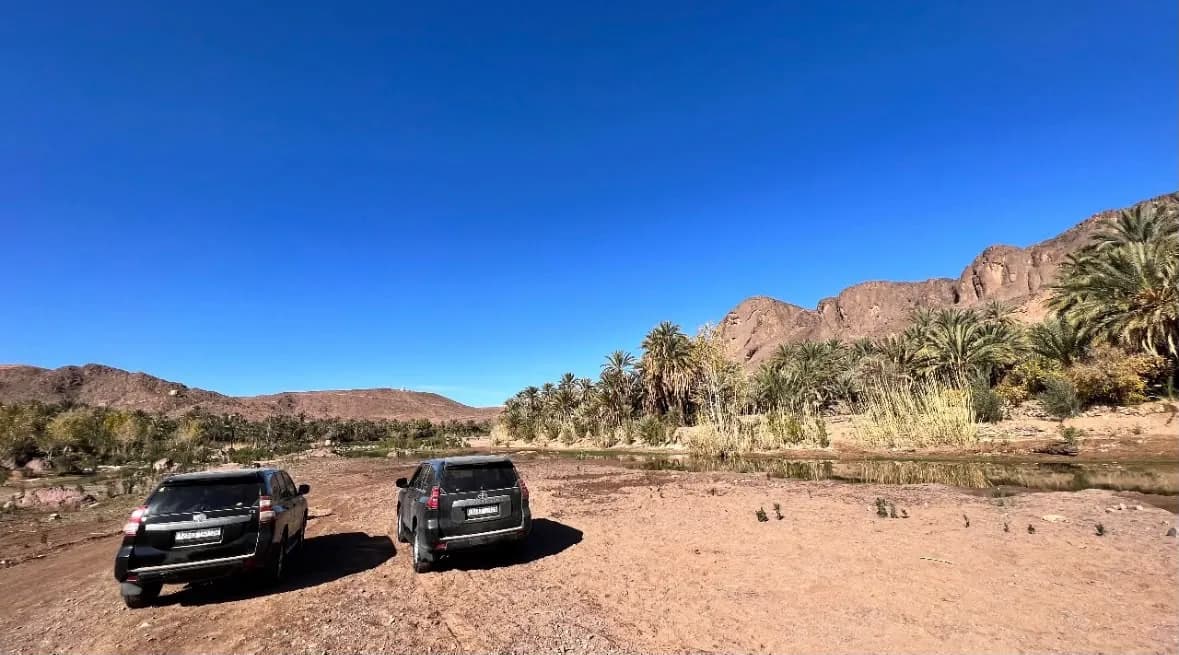 4×4s at the Draa Valley oasis