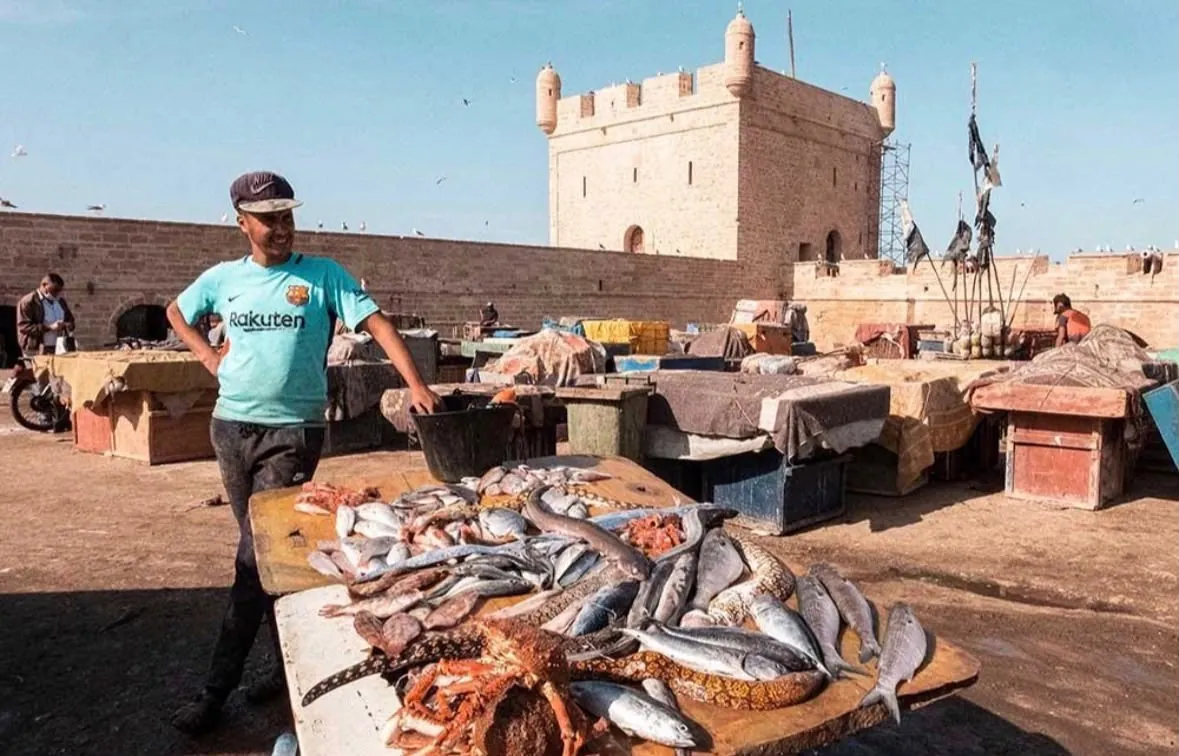 Fresh catch by the harbour