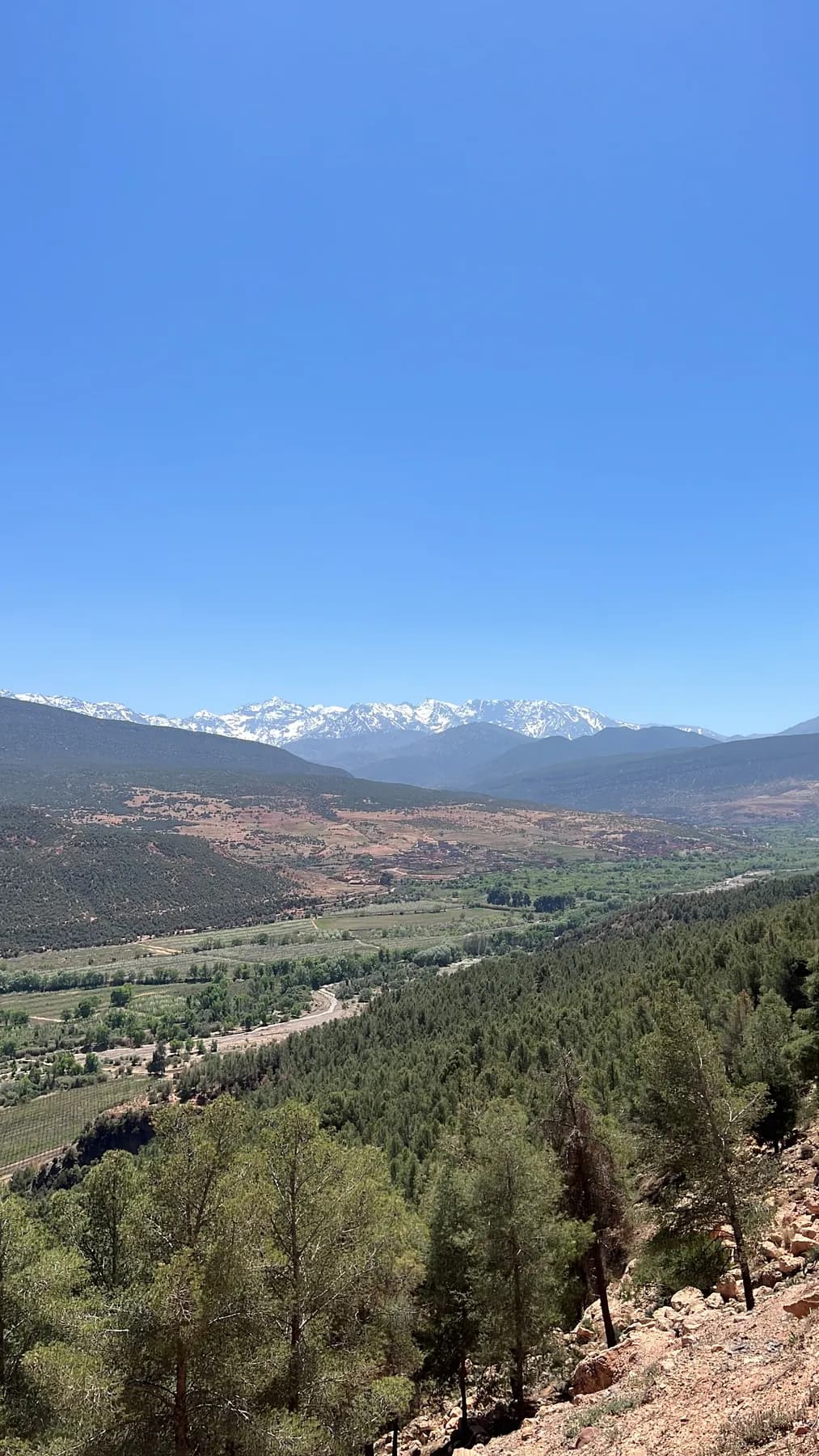 Valley view towards the peaks