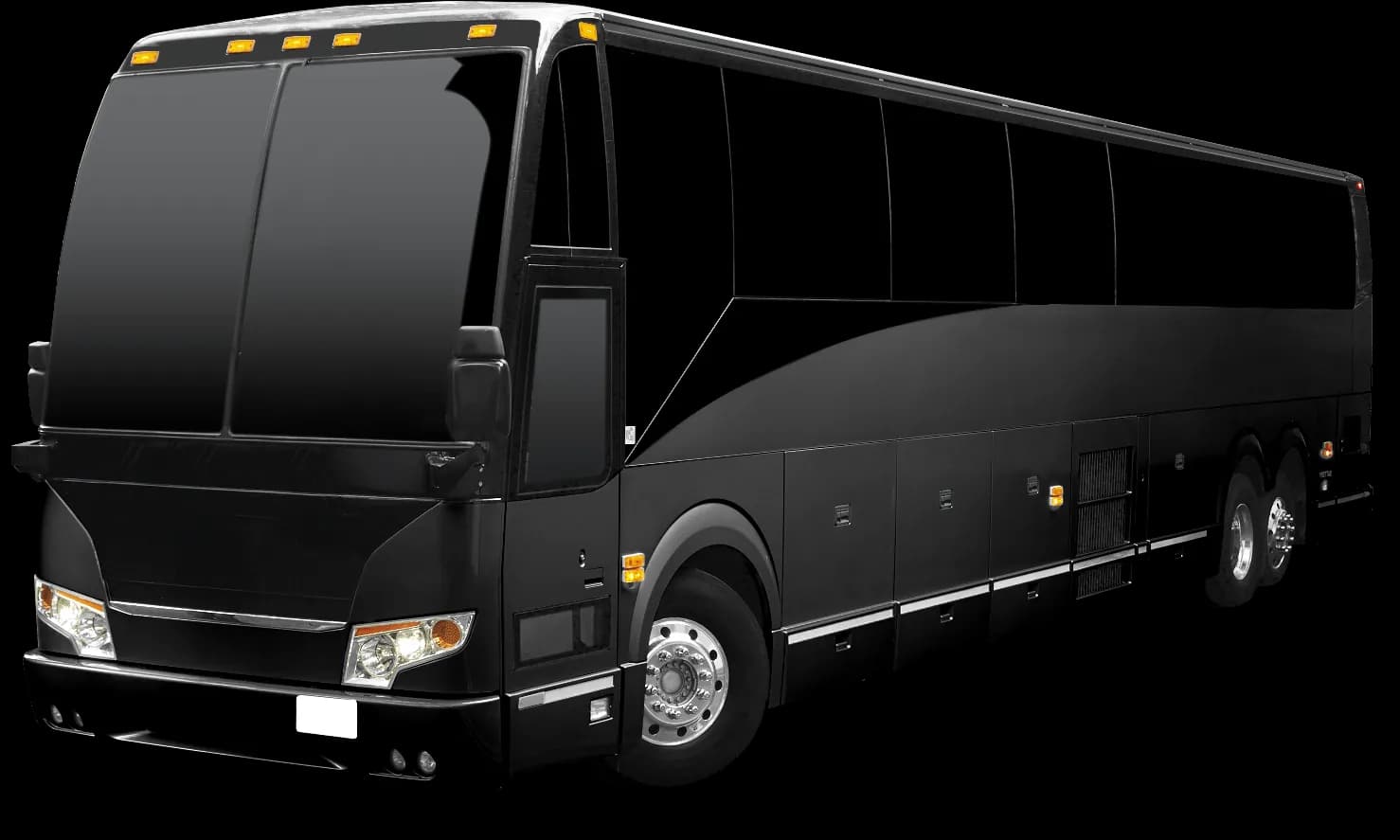 Tourist Buses