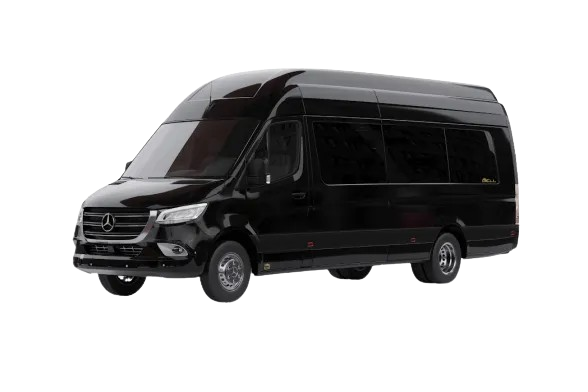 Executive Sprinter Van